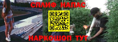 гашишное масло Кингисепп