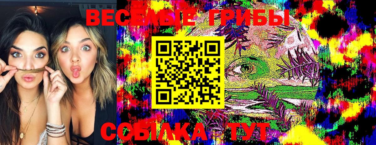 Торжок  сколько стоит  Вход с VPN  Галлюциногенные грибы Cubensis 