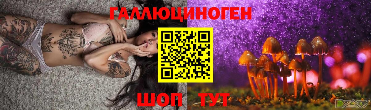 Галлюциногенные грибы Psilocybine cubensis Торжок